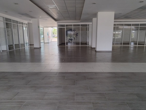 Oficina En Quéretaro 5 De Febrero
