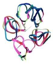 Comprar Lote 2 Correas + 3 Arnés Para Perros Chicos 