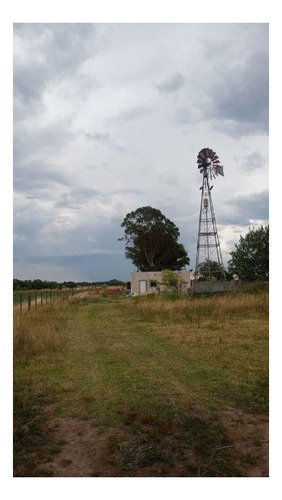 Imagen 3 de 12 de Campo En Venta - 14 Hectáreas - General Mansilla