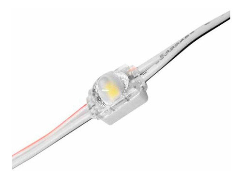 Calugas Modulo 1 Led Smd 2835 Exterior Ip67 12 Vdc X100 U