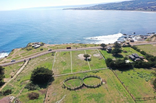 Mirador De Punta De Lobos