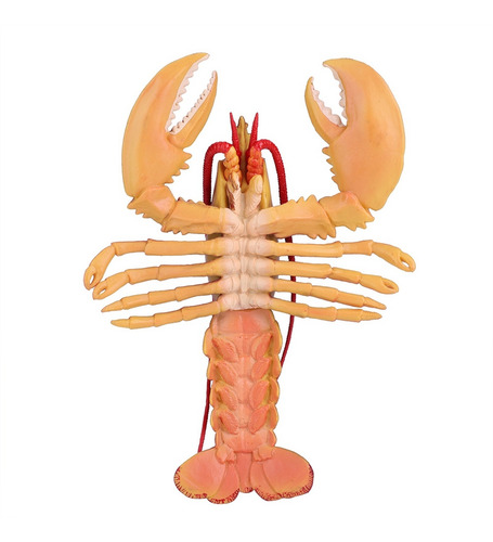 Restaurante De Mariscos Suaves Con Simulación De Decoración