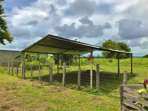 Imagen 5 de 19 de Finca En San Carlos Cojedes, Venta De Finca En San Carlos