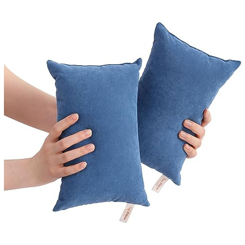 Bedsum Paquete De 2 Almohadas Pequeñas, Minialmohadas De Mic