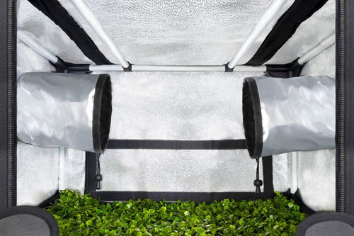 Imagen 6 de 10 de Carpa Indoor Garden Probox Propagator S 60x40x40 Esquejes