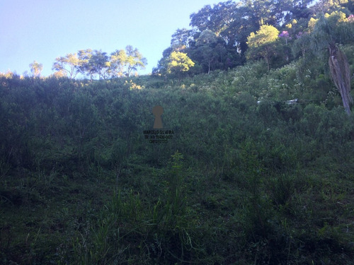 Chácara A Venda No Bairro Centro Em Bocaiúva Do Sul - Pr. - 420-1