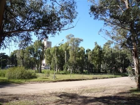 Imagen 3 de 3 de Pinamar Centro - Lote Multifamiliar Hotelero