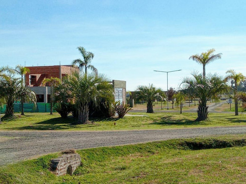 Imagen 11 de 12 de Oportunidad! Lote Con Financiación En Barrio Los Juncos, Lujan.