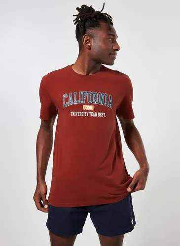 Blusa california hot sale masculina