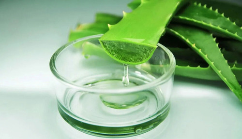 Imagen 5 de 8 de Aloe Vera: Gel Puro 1 Litro - Del Alba