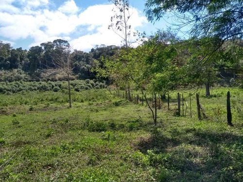 Imagem 8 de 14 de Juquiá/belo Terreno C/riacho/pasto/ref: 05033