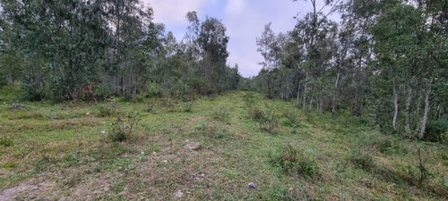 Venta Terreno En El Carril 600 M², San Antonio