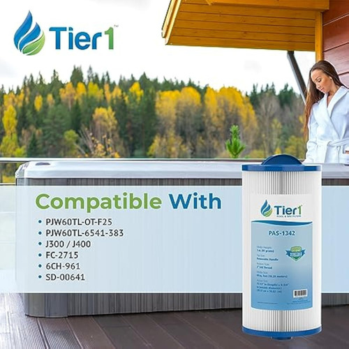Tier1 Cartucho De Filtro Para Piscina Y Spa,