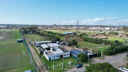 Terreno En Alquiler De 1600m2 Ubicado En Servando Gómez. Carrasco