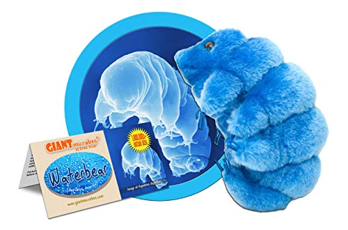 Gigantemicrobes Waterbear Plush - Aprender Acerca De 3mvau