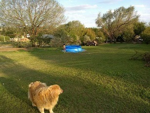 Imagen 1 de 2 de Terreno Venta Cuatro Hojas Mendiolaza