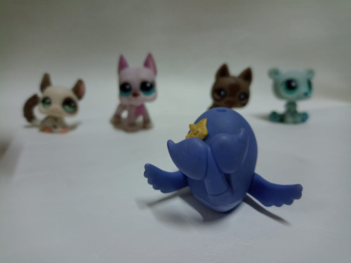 Littlest Pet Shop - Ballena 644