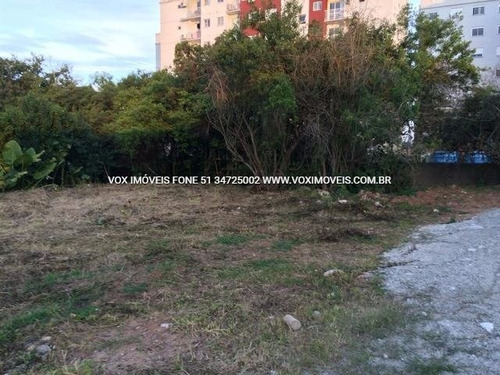 Imagem 2 de 15 de Terreno - Fatima - Ref: 46489 - V-46489