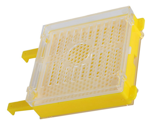Kit De Sistema Apícola Para La Cría De Abejas Reinas