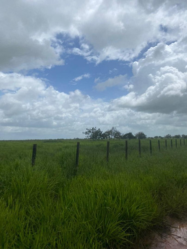 Imagen 17 de 17 de Se Vende Finca En Caicarita Estado Monagas Ve02-1095mced-mtru