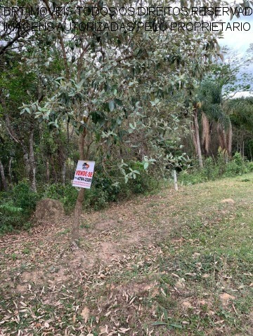 Imagem 3 de 8 de Terreno - Te00128 - 34560474