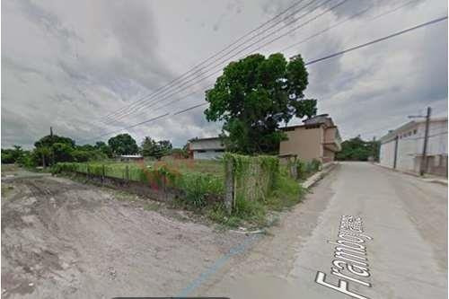 Imagen 6 de 9 de Venta De Amplio Terreno Ubicados En Cipres Veracruz