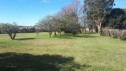 Imagen 6 de 30 de Venta - Campo En Cardales - Bayugar Negocios Inmobiliarios