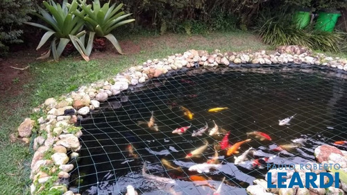 Imagem 10 de 10 de Chacara - Ouro Fino - Sp - 523934