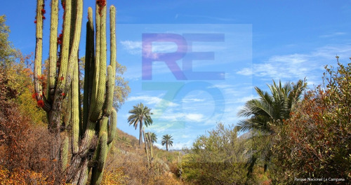 :::: Conecta Con La Tierra. Tranquilidad Y Naturaleza ::::