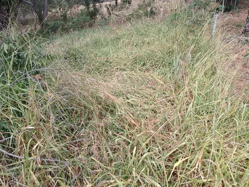 Lote De 1000 M2