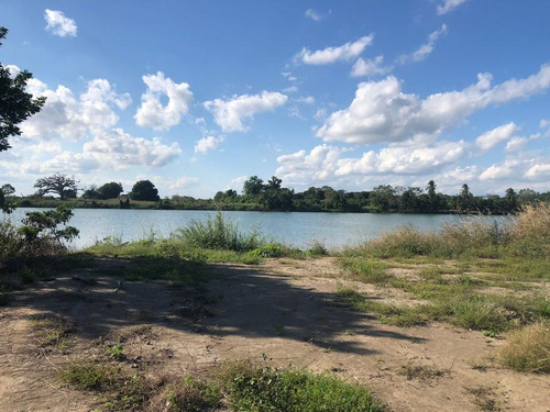 Venta De Lotes Frente Al Rio Juana Moza Tuxpan Veracruz
