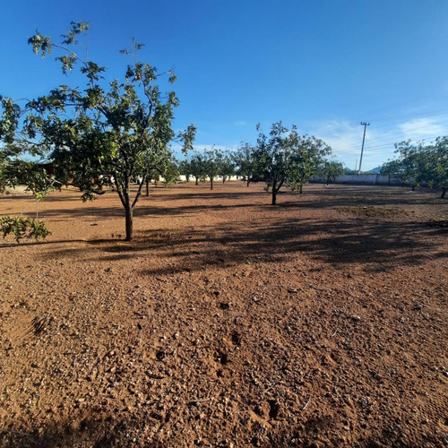 Terreno En Venta En Valle De Chihuahua, Chihuahua, Chihuahua