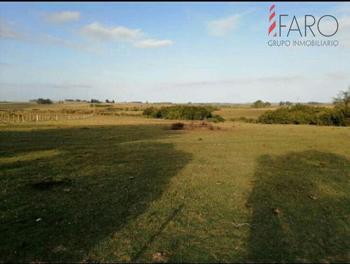 Chacra En Venta En José Ignacio Con Construcción- Ref: 37203