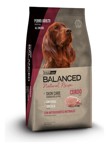Alimento Vitalcan Balanced Exclusive Recipe para perro adulto todos los tamaños sabor cerdo y arroz en bolsa de 15kg