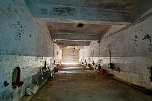 Venta Bodega O Deposito 10 Hectareas, Toledo Chico