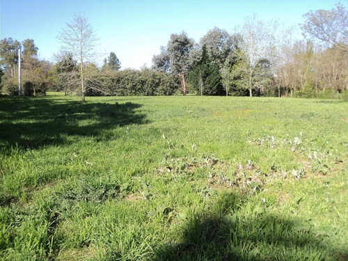 Imagen 3 de 4 de Duggan - Lote Sobre Asfalto - 1750 M2 - Subdivisible - U$s 6