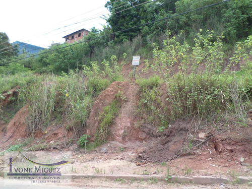 Imagem 6 de 7 de Terreno Em São Judas Tadeu - Miguel Pereira - 1249