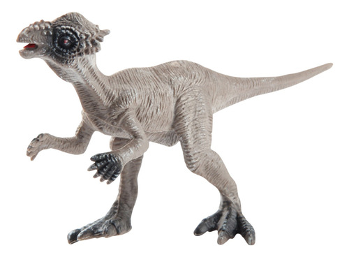 Un Modelo De Dinosaurio De Regalo Para Niño, Color Sólido, C
