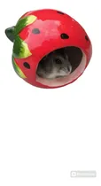Comprar Casita Fresa De Cerámica Para Hamsters Jerbos Roedores Raton
