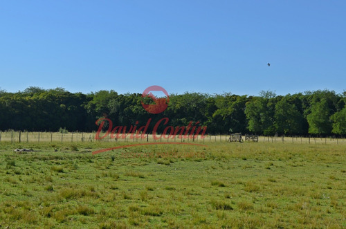 Imagen 15 de 30 de Hermoso E Ideal Campo En Venta