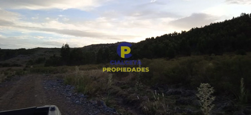 Imagen 4 de 12 de 5 Hectáreas, Entrega 8.000 Y El Saldo En Cuotas De 593 U$s