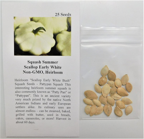 Davids Garden Seeds Squash Verano Vieira Temprano Blanco Sa