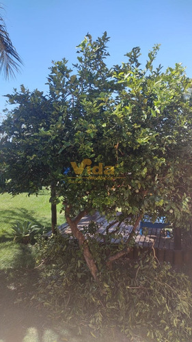 Imagem 5 de 15 de Chácara A Venda Em Campos Elíseos - Brotas - 45069