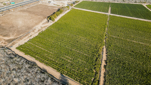 Todos Santos Highway 19, Palcel Huertas Paradero
