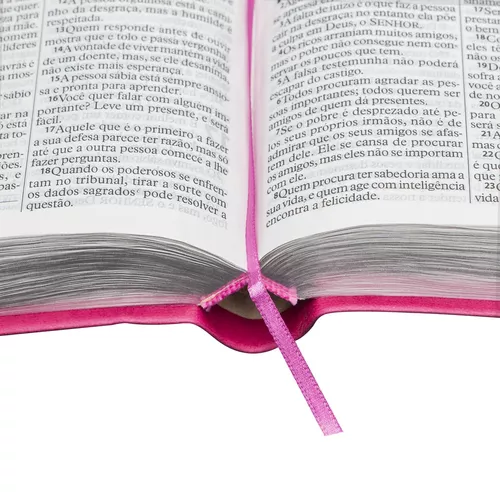 Bíblia Tradução Brasileira - Introduções Acadêmicas: Tradução Brasileira  (TB) - Couro sintético