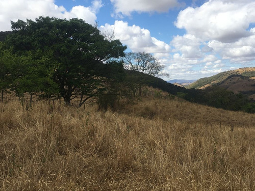 Imagem 6 de 24 de Chácara À Venda, 2800 M² Por R$ 80.000 - Zona Rural - Caldas/mg - Ch0126