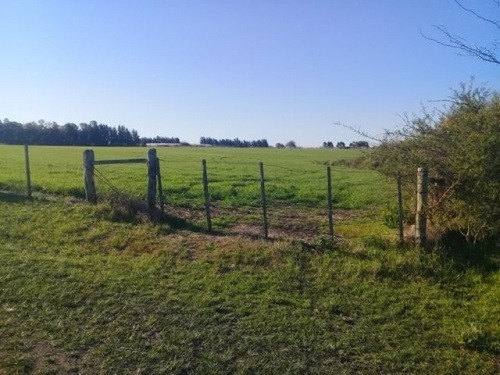 Campo 10 Hás En Paysandú