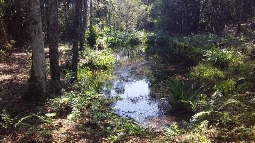 Chácara À Venda Com 4200 M² Terreno Em Itanhaém. 3868