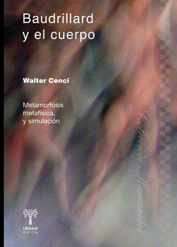 Baudrillard Y El Cuerpo, De Cenci Walter. Editorial Universidad De San Martin Edita, Tapa Blanda En Español, 2016