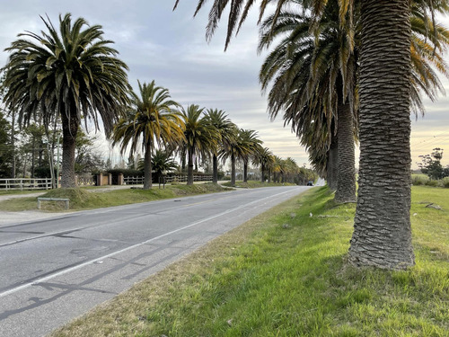 Excelente Fracción A Pocos Km De Colonia